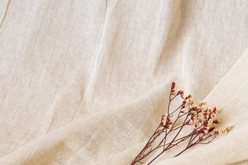 Organic Cotton Fabric Export from India: What Buyers Need to Know