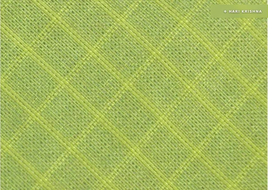 Ripstop Fabric