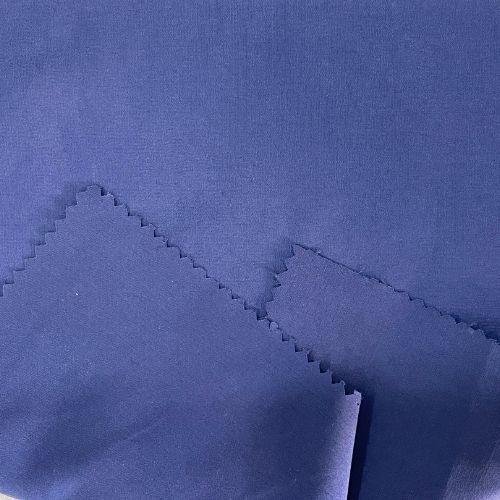 Taslan fabric - Hari Krishna