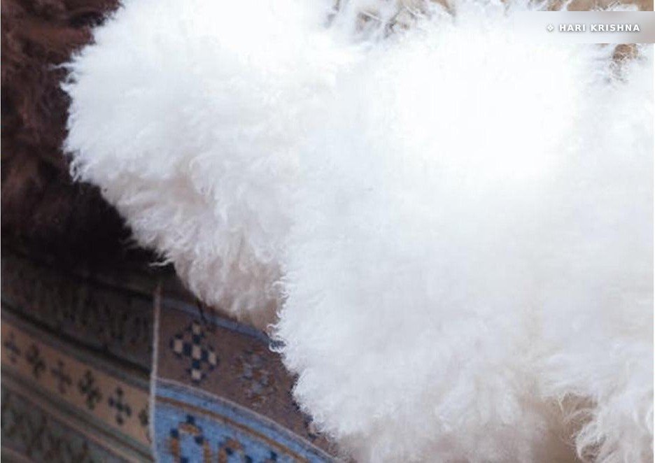 What is Angora Fabric
